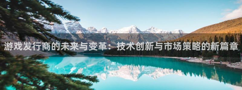 沐鸣线路检测：游戏发行商的未来与变革：技术创新与市场策略的新