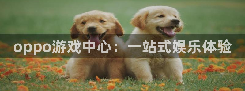 沐鸣注册地址：oppo游戏中心：一站式娱乐体验