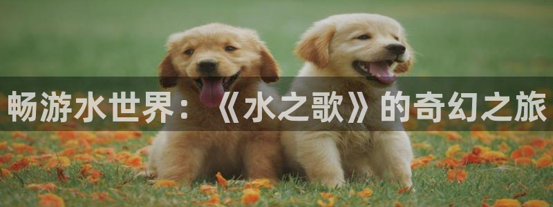 沐鸣平台登录线路：畅游水世界：《水之歌》的奇幻之旅