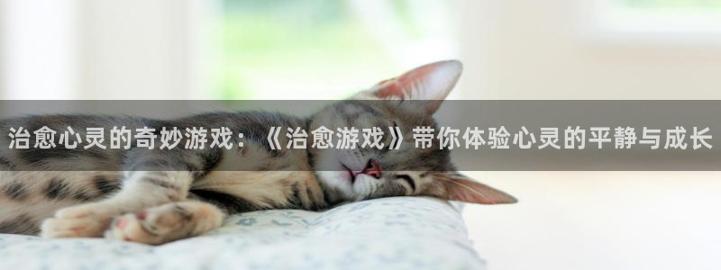 手机版沐鸣客户端下载