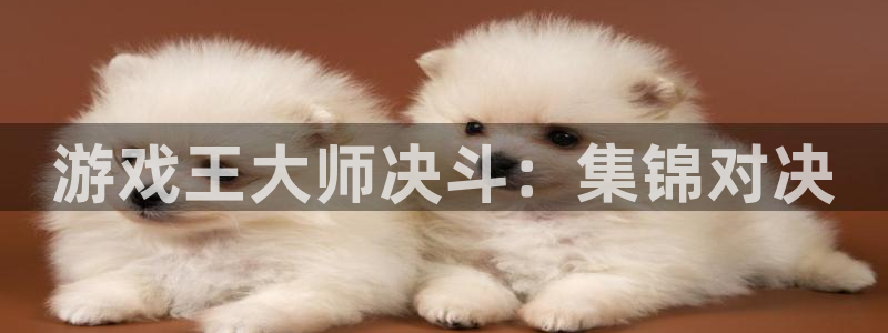 沐鸣在线登录网址：游戏王大师决斗：集锦对决