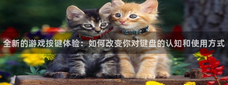 沐鸣1平台登录线路：全新的游戏按键体验：如何改变你对键盘的认