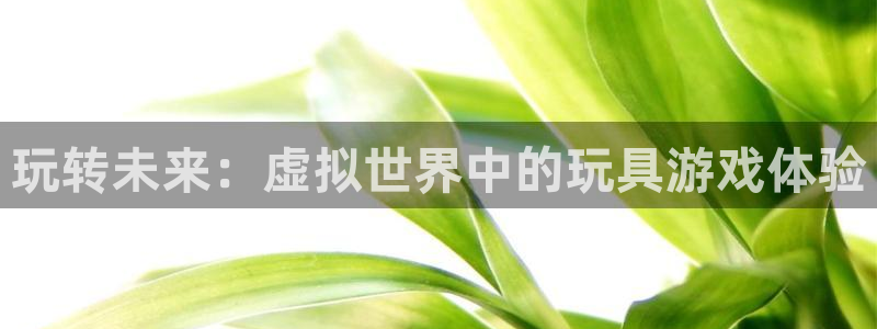 沐鸣网址官网首页：玩转未来：虚拟世界中的玩具游戏体验