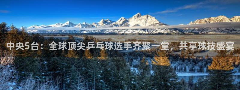 nba飞速视频直播