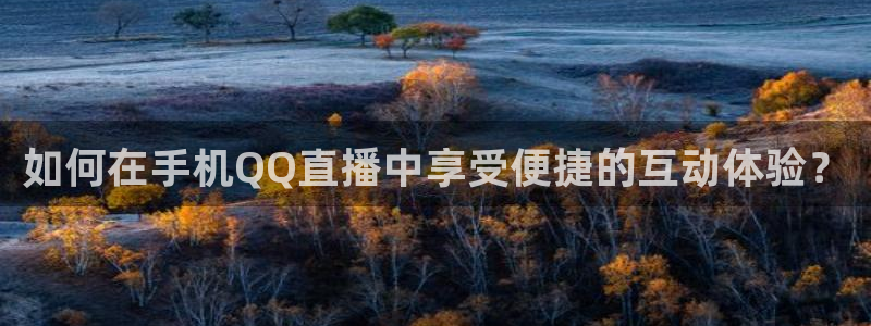 高速直播飞速体育：如何在手机QQ直播中享受便捷的互动体验？
