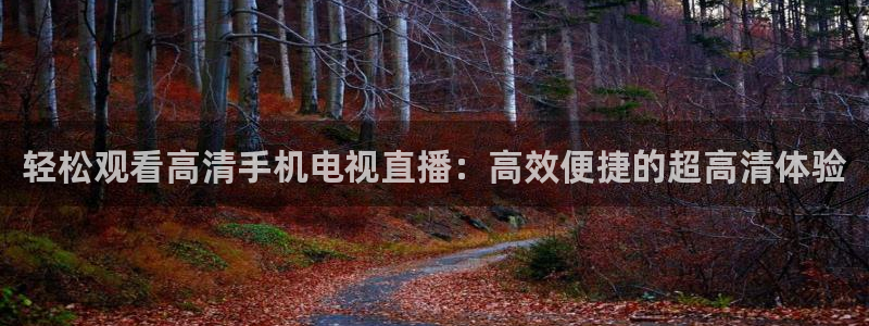飞速直播体育cba：轻松观看高清手机电视直播：高效便捷的超高清体验