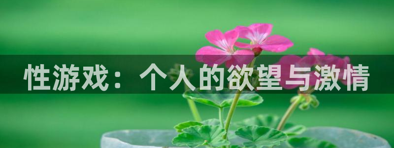 沐鸣平台登录线路