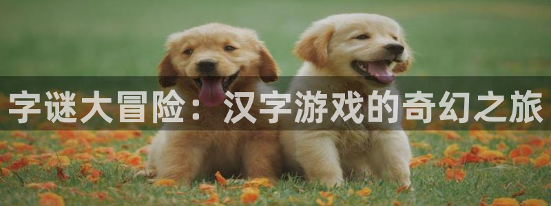 沐鸣官方注册登录