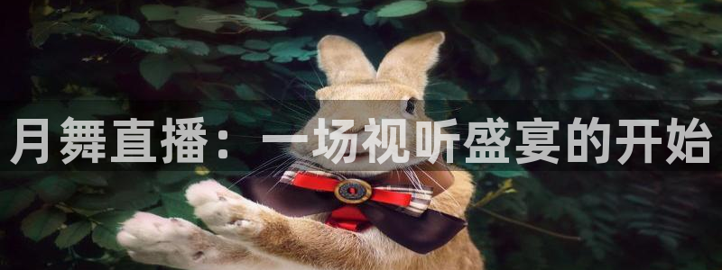 飞速体育在线直播nba：月舞直播：一场视听盛宴的开始