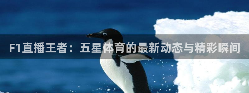飞速直播体育：F1直播王者：五星体育的最新动态与精彩瞬间