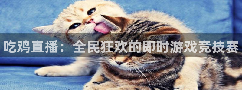 飞速体育nba直播：吃鸡直播：全民狂欢的即时游戏竞技赛
