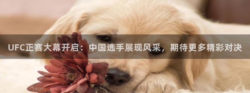 飞速直播nba免费观看：UFC正赛大幕开启：中国选手展现风采，期待更多精彩对决