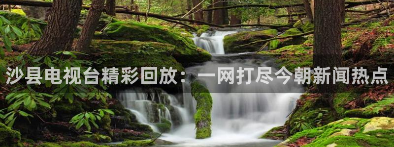 低调看直播jrs飞速直播：沙县电视台精彩回放：一网打尽今朝新闻热点