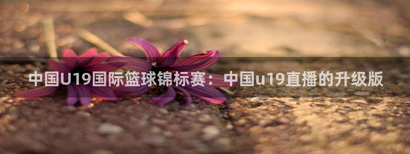 飞速直播体育直播：中国U19国际篮球锦标赛：中国u19直播的升级版